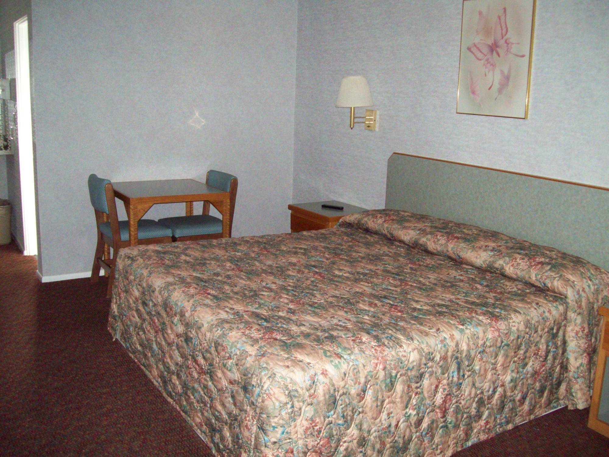 Blue Mist Motel Florence Rum bild